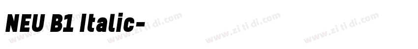 NEU B1 Italic字体转换 NEU B1 Italic字体转换